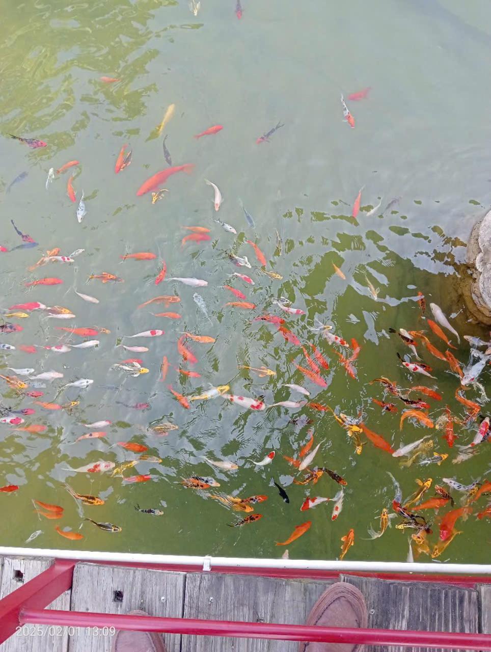 Homestay Suoi Khoang Minh Hang イエンバイ エクステリア 写真
